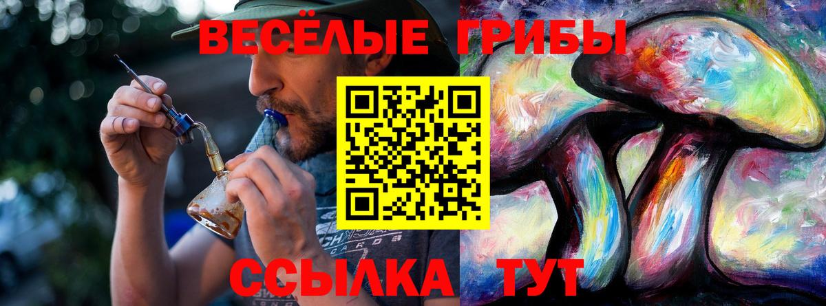 Галлюциногенные грибы прущие грибы Малгобек